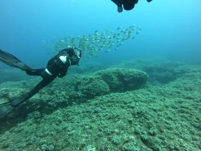 צלילה מודרכת פרטית באשדוד